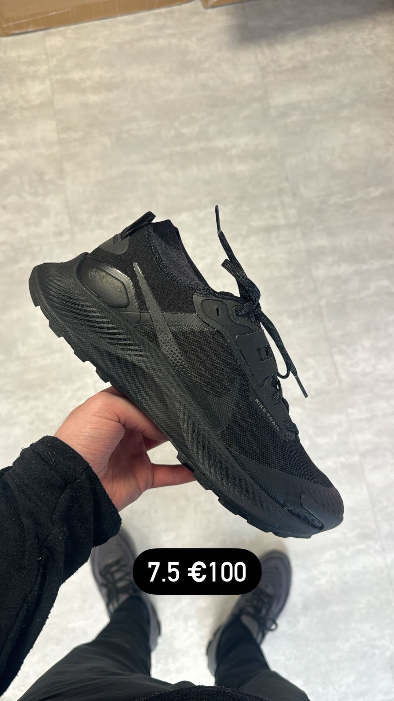 Nike Pegasus Goretex Black