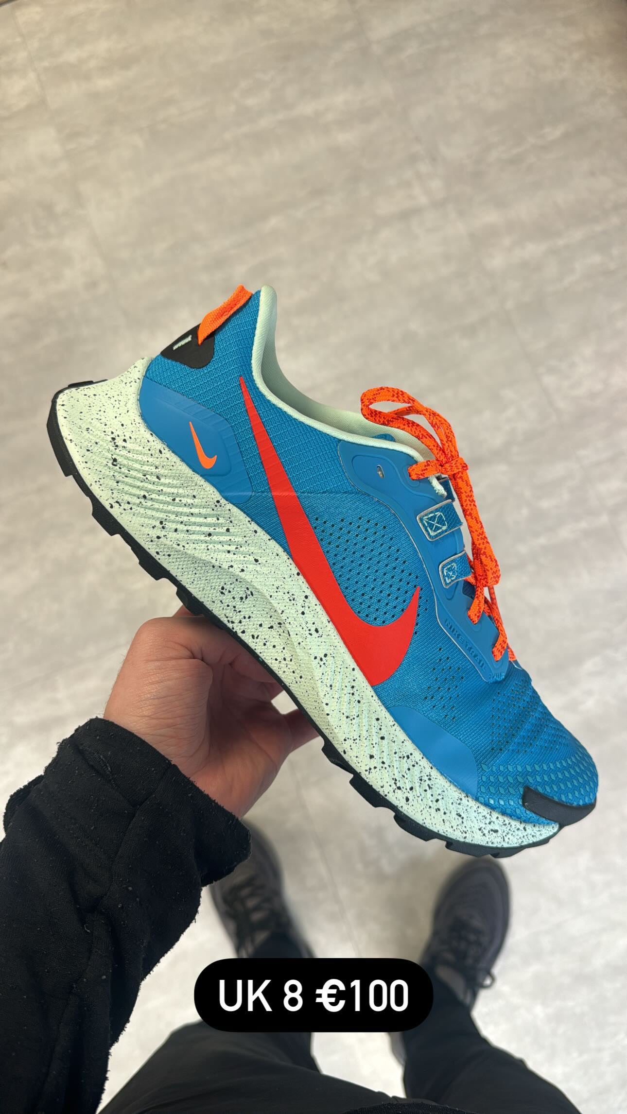 Nike Pegasus Blue